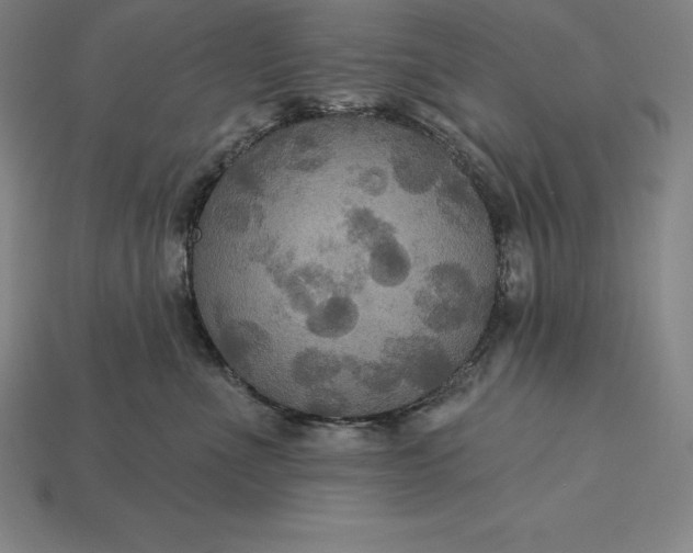 X0000115200523200911121845