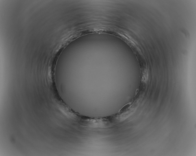 X0000115200524200911121845
