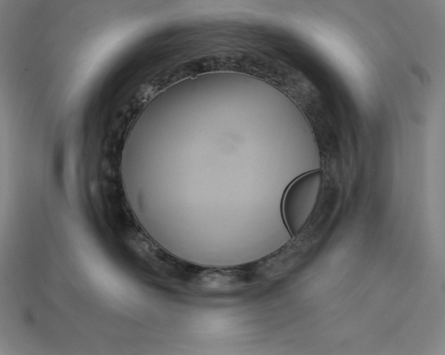 X0000115200526200911121845
