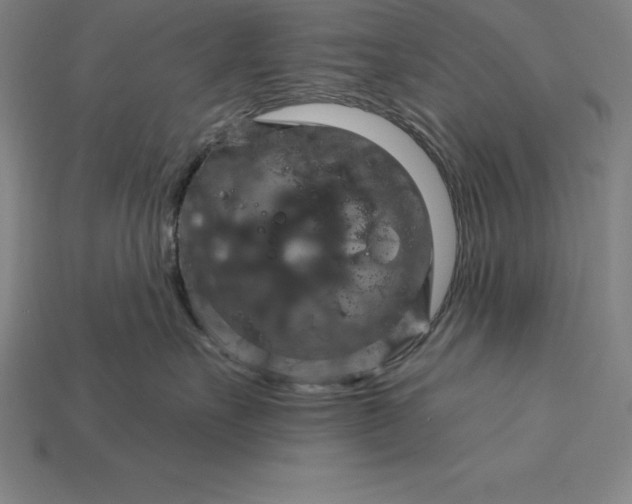 X0000115200527200911121845