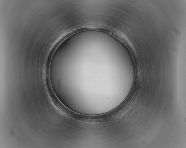 X0000115200530200911121844