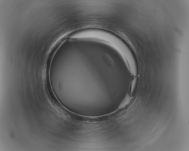 X0000115200531200911121844