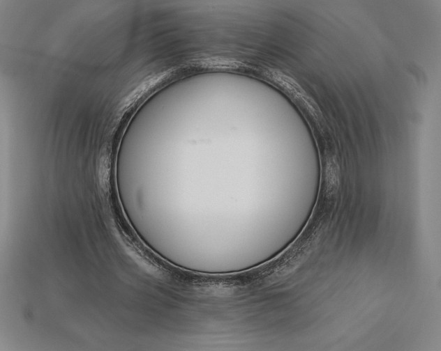 X0000115200533200911121844
