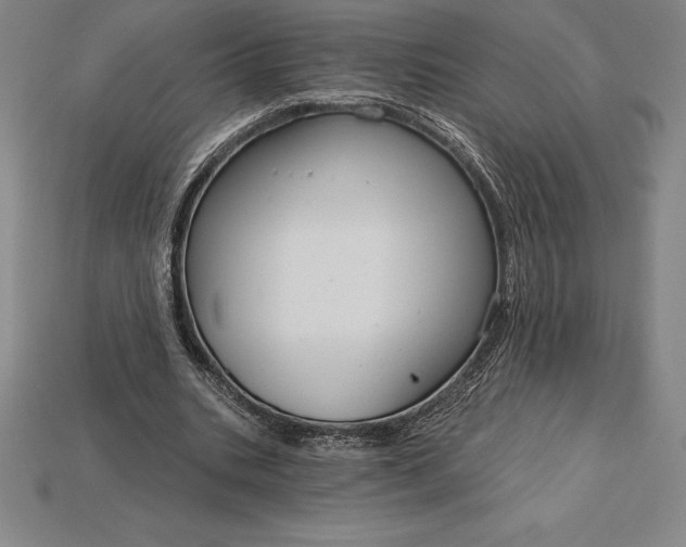 X0000115200535200911121844