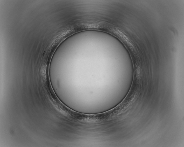 X0000115200537200911121844