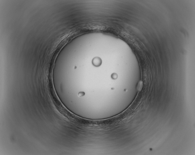 X0000115200538200911121844