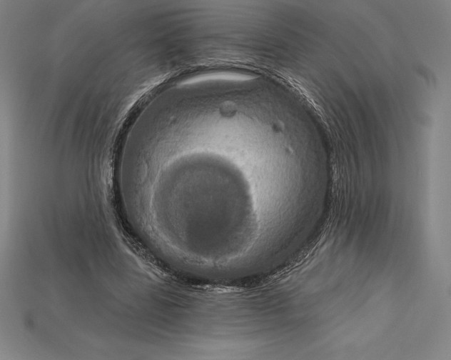 X0000115200539200911121844