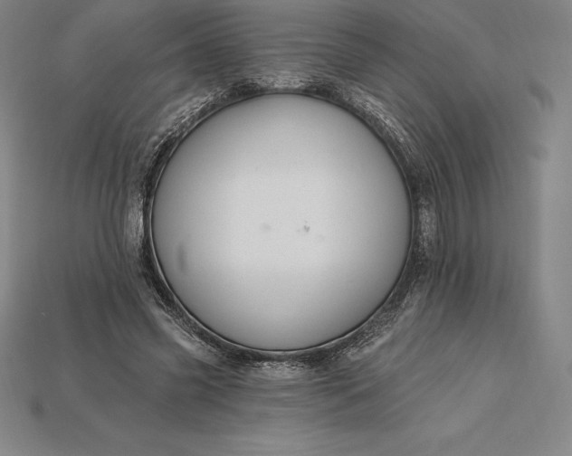 X0000115200541200911121844