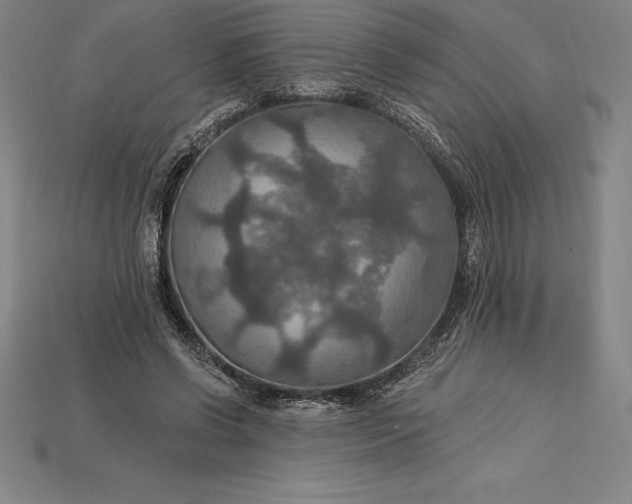 X0000115200542200911121844