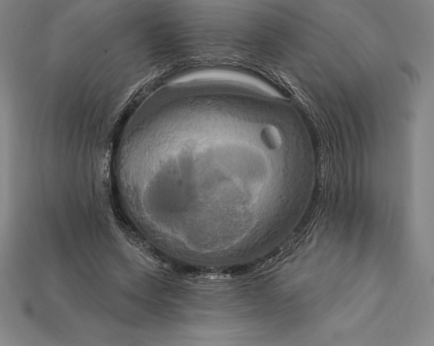 X0000115200543200911121844