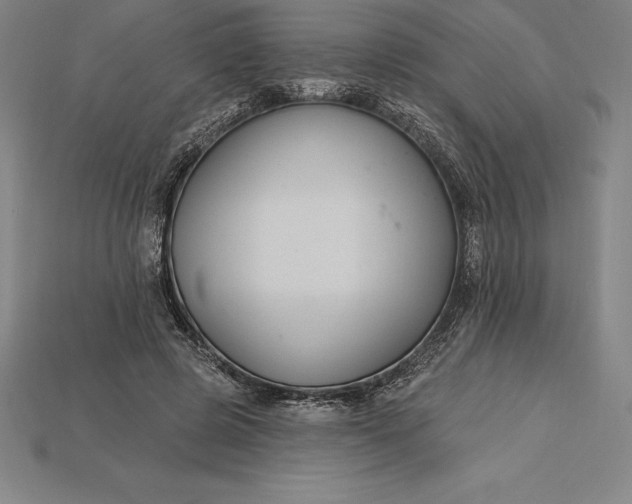 X0000115200545200911121844