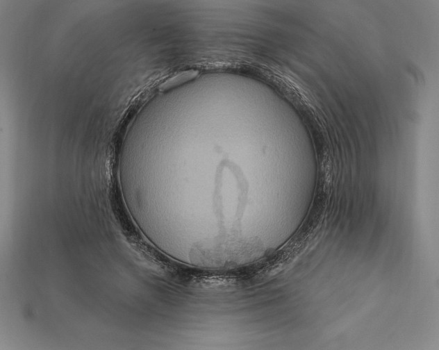 X0000115200546200911121844