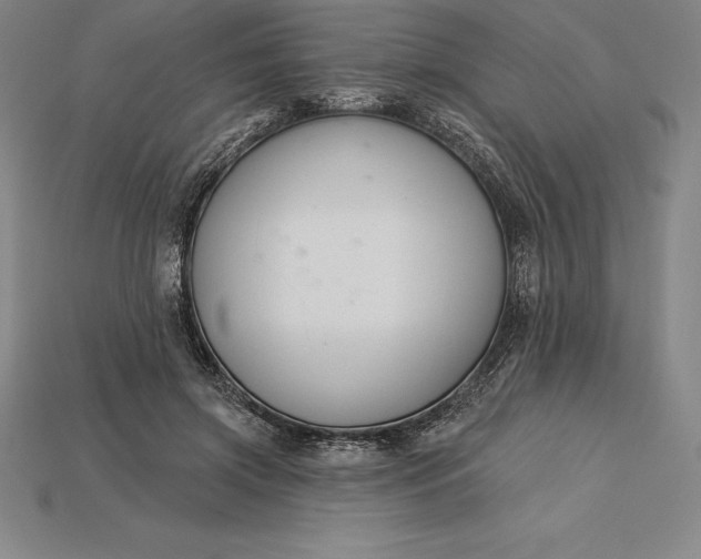 X0000115200549200911121845
