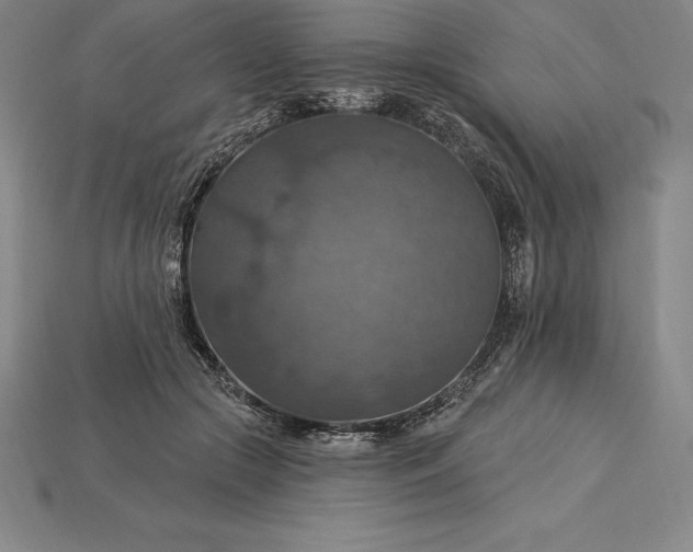 X0000115200553200911121845