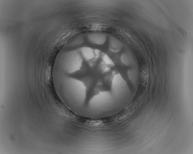 X0000115200554200911121845