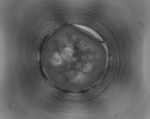 X0000115200555200911121845