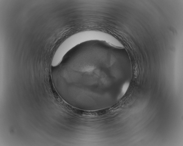 X0000115200559200911121845