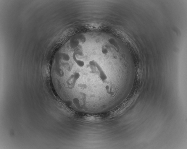 X0000115200561200911121845