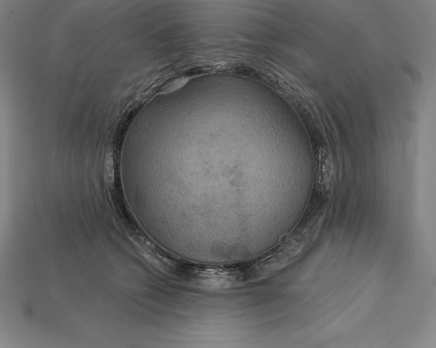 X0000115200562200911121845