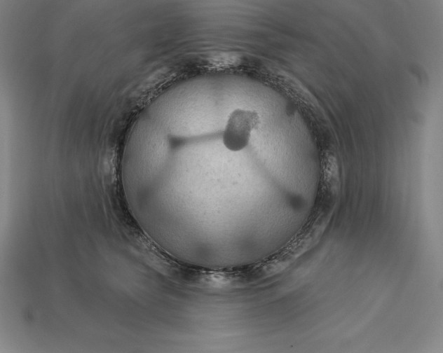 X0000115200565200911121845