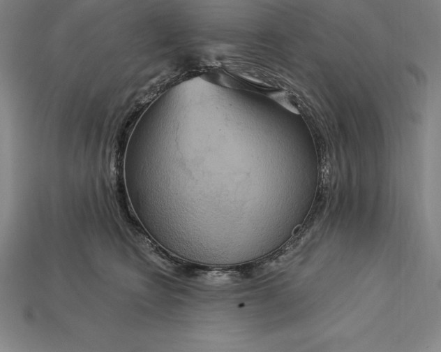 X0000115200566200911121845