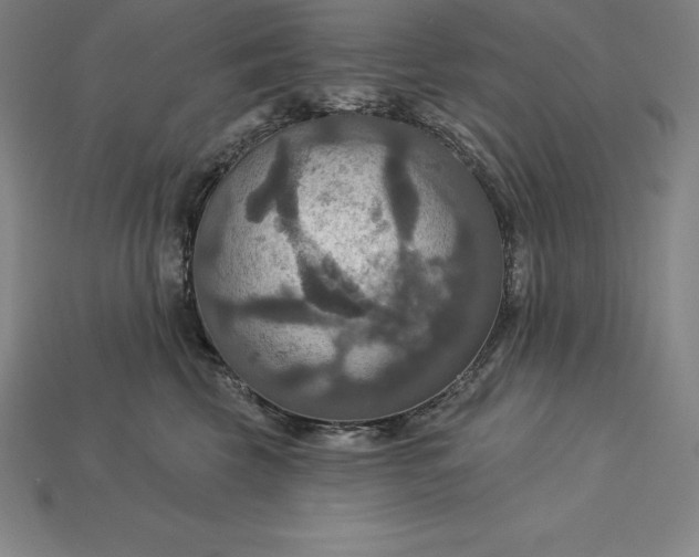 X0000115200569200911121845