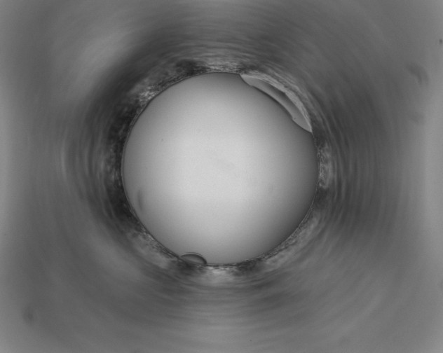X0000115200573200911121845
