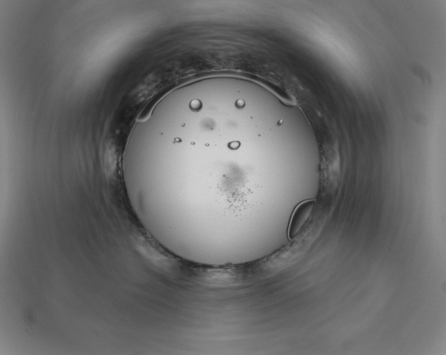 X0000115200574200911121845