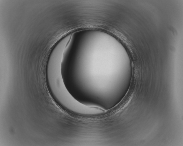 X0000115200577200911121844