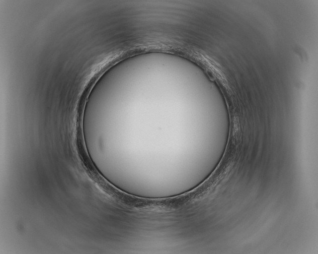 X0000115200578200911121844