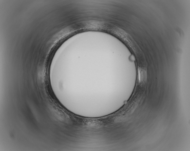 X0000115200579200911121844