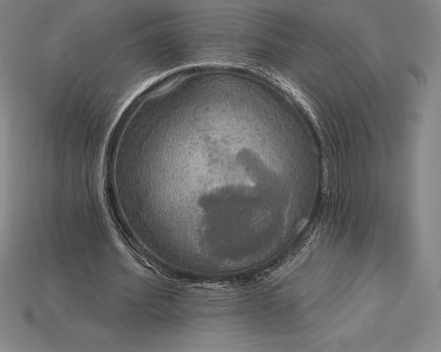 X0000115200580200911121844
