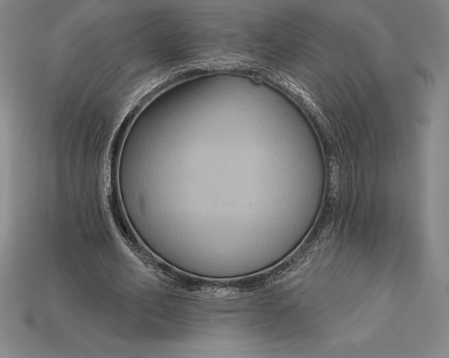 X0000115200582200911121844
