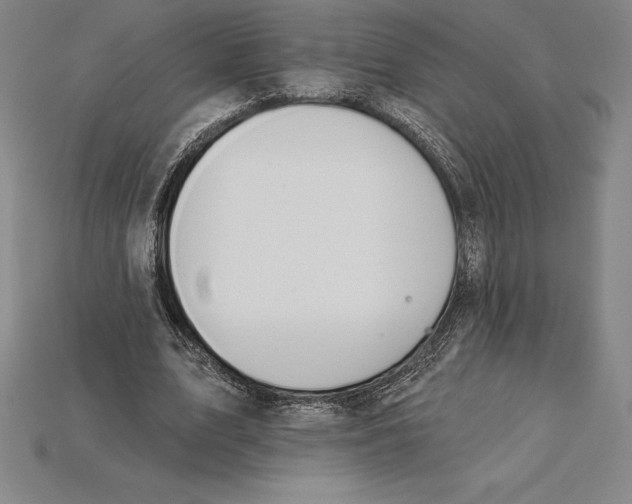 X0000115200583200911121844