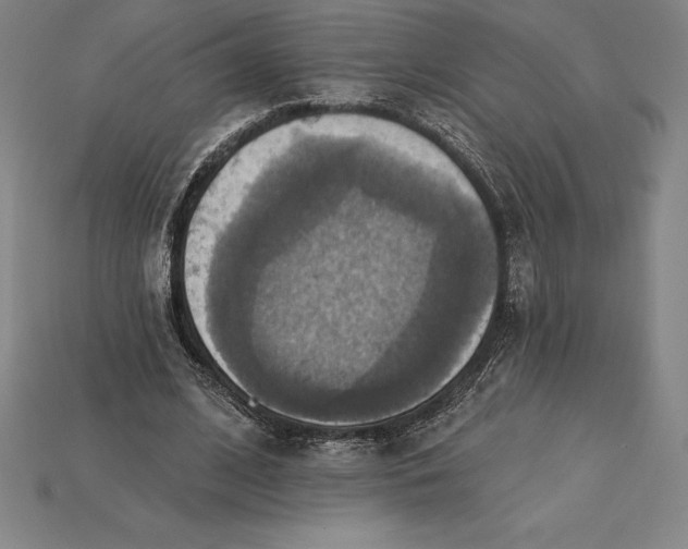 X0000115200584200911121844