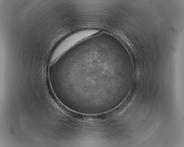 X0000115200585200911121844
