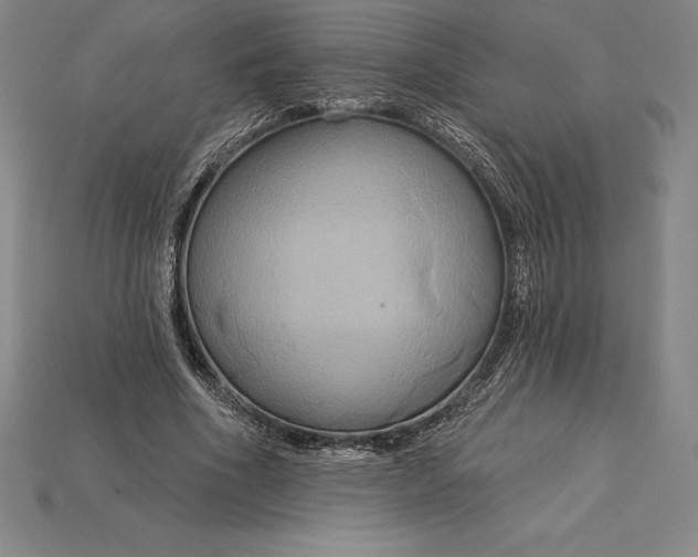 X0000115200586200911121844