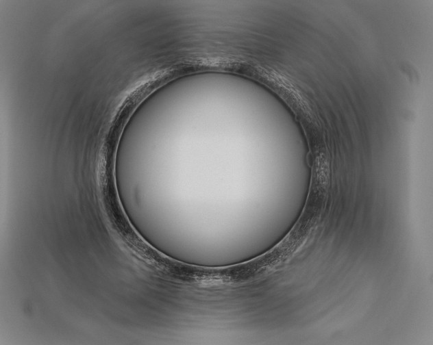 X0000115200587200911121844
