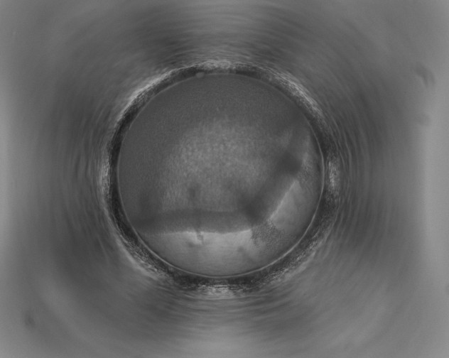X0000115200588200911121844