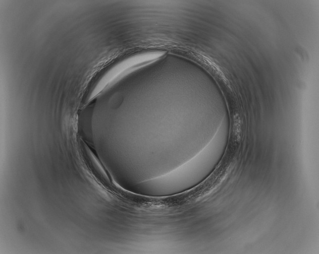 X0000115200589200911121844