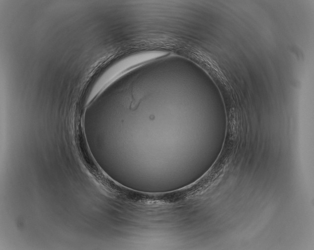X0000115200590200911121844