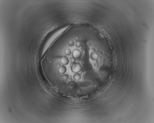 X0000115200591200911121844