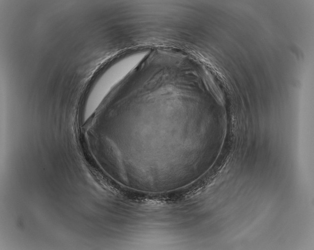 X0000115200592200911121844