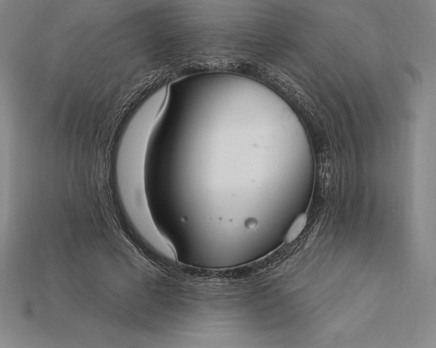 X0000115200593200911121844