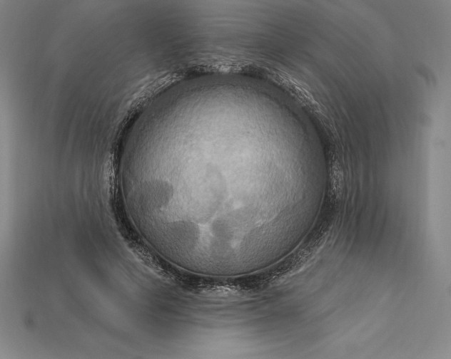 X0000115200594200911121844