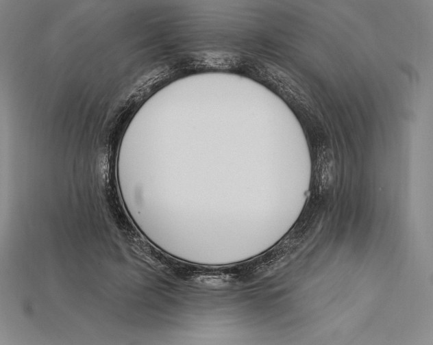 X0000115200595200911121844