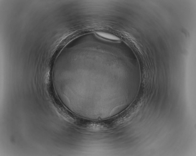 X0000115200596200911121844