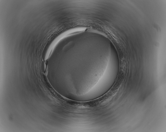 X0000115200597200911121844