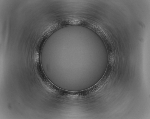 X0000115200598200911121844