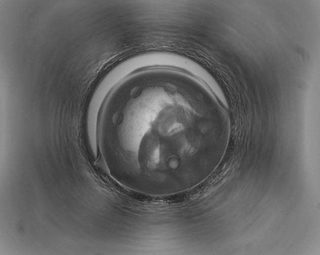 X0000115200600200911121844